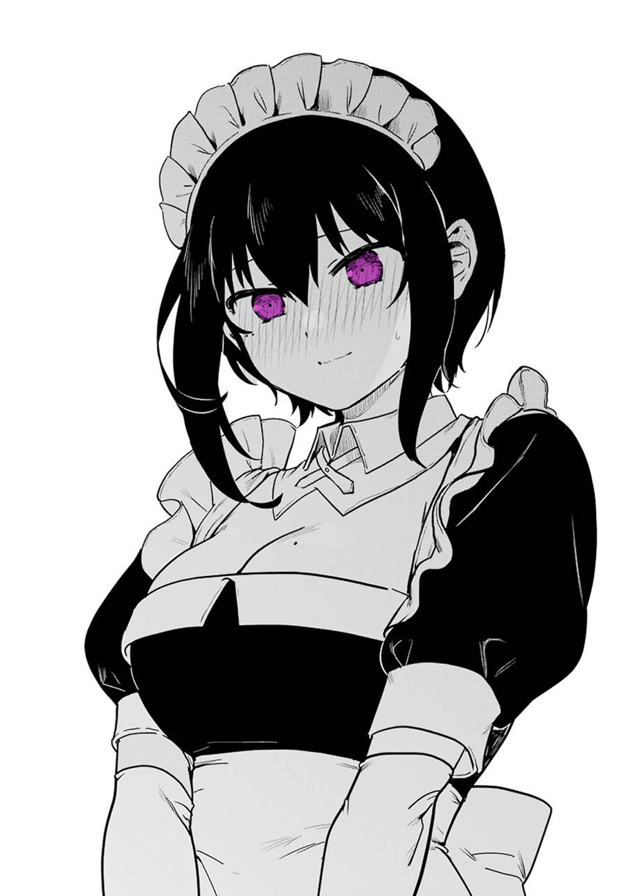 My Recently Hired Maid Is Suspicious (Serialization)